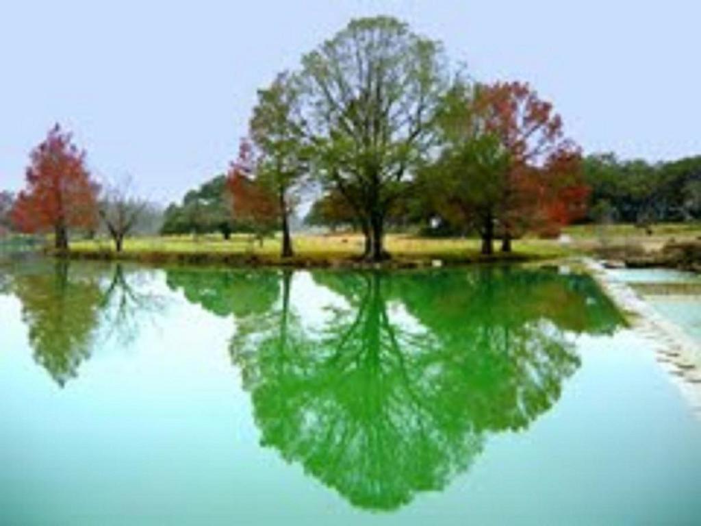 Blanco Riverside Cottages Buitenkant foto